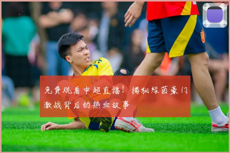 免费观看中超直播！揭秘绿茵豪门激战背后的热血故事