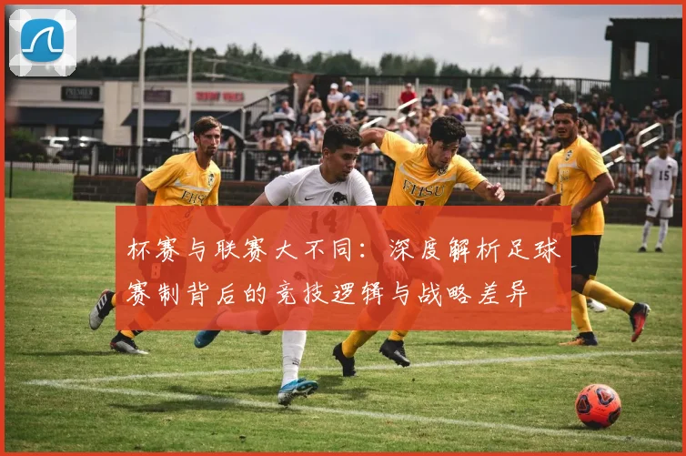 杯赛与联赛大不同：深度解析足球赛制背后的竞技逻辑与战略差异